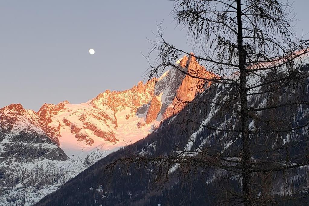 Bel Appartement Entier En Style Chalet A Chamonix Zewnętrze zdjęcie